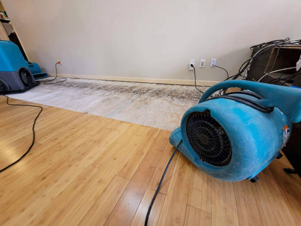 Professional Water Removal technician working in Irondale, GA